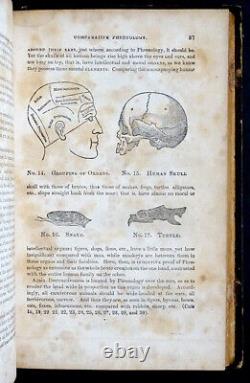 RARE! 1850's Antique PHRENOLOGY & PHYSIOLOGY Illustrated Book / QUACK MEDICINE