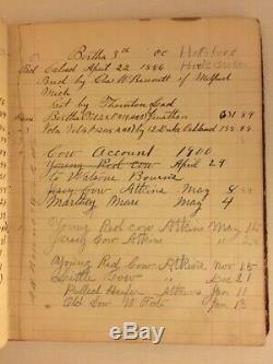 RARE 1870s-1900s Handwritten Cattle FARM Ledger Milford MICHIGAN Cows Recipes MI