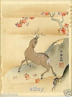 RARE 1903 Meiji 35 Antique Rimpa OGATA KORIN Woodblock FULL SET 12 Print Book