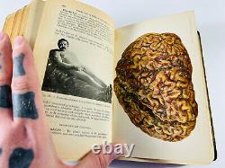 RARE 1904 Manual of Psychiatry ODDITY Medical Book AMAZING weygandt