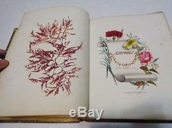 RARE 19th C Victorian Scrap Album Scrapbook Seaweed Specimens Antique Herbarium