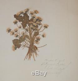 RARE ANTIQUE 1877, 50 Pressed Flower Arrangements in Embossed Gold Guilded book