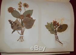RARE ANTIQUE 1877, 50 Pressed Flower Arrangements in Embossed Gold Guilded book