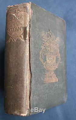 RARE Antique 1840 Young Lady's Book of Botany with colour plates Robert Tyas