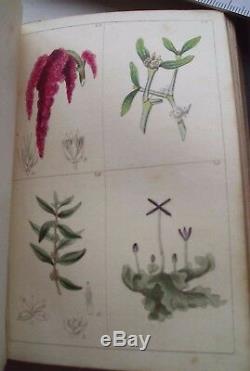 RARE Antique 1840 Young Lady's Book of Botany with colour plates Robert Tyas