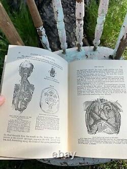 RARE Antique 1893 THE COTTAGE PHYSICIAN BOOK Medical Treatment Homeopathy