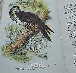 RARE Antique 1896 Lloyds Natural History British Bird 4 Vols Coloured Plates