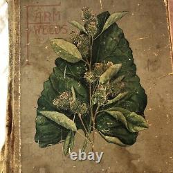 RARE Antique 1906 Farm Weeds Of Canada Original Book 103 Pages & Color Plates