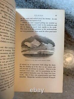 RARE Antique Kanes Artic Explorations 1881 Ornate Victorian Gilded Embossed Book