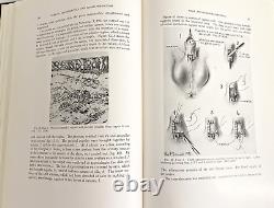 RARE Genital Abnormalities Hermaphroditism Adrenal 1937 Antique Medical Book 1st