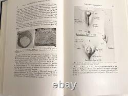 RARE Genital Abnormalities Hermaphroditism Adrenal 1937 Antique Medical Book 1st