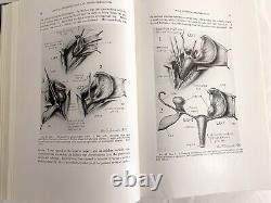 RARE Genital Abnormalities Hermaphroditism Adrenal 1937 Antique Medical Book 1st