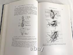 RARE Genital Abnormalities Hermaphroditism Adrenal 1937 Antique Medical Book 1st