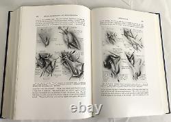 RARE Genital Abnormalities Hermaphroditism Adrenal 1937 Antique Medical Book 1st