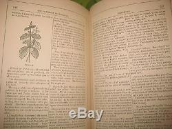 RARE HOUSEKEEPER cyclopedia ANTIQUE VICTORIAN COOKBOOK PERFUME COSMETIC MEDICINE