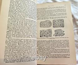 RARE Modern Surgery General Operative DaCosta 1919 Antique Medical Book Illustra