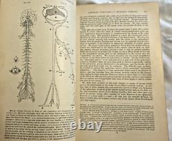 RARE Textbook of Physiology Foster 1891 Antique Medical Book READ CONDITION