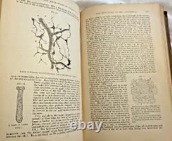 RARE Textbook of Physiology Foster 1891 Antique Medical Book READ CONDITION