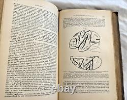 RARE Textbook of Physiology Foster 1891 Antique Medical Book READ CONDITION