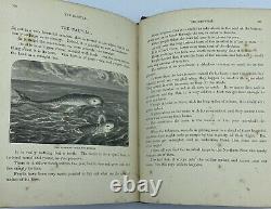 Rare 1871 1st Ed. The Sea & Its Wonders, Whaling, Climate Antique Victorian Book