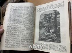 Rare 1882 The Sunday At Home Bound Issues Illustrated Antique Book (p8)