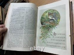 Rare 1882 The Sunday At Home Bound Issues Illustrated Antique Book (p8)