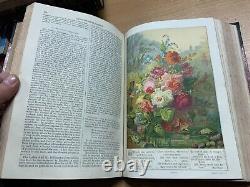 Rare 1882 The Sunday At Home Bound Issues Illustrated Antique Book (p8)