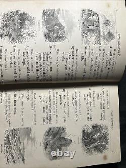 Rare Antique 1881 THINGS OUT OF DOORS Book 480 ILLUSTRATIONS Hardback 160 Pg