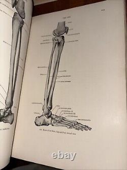 Rare Antique 1930 Warren's Handbook of Anatomy / John Warren Robert Green Aitken