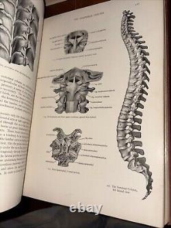 Rare Antique 1930 Warren's Handbook of Anatomy / John Warren Robert Green Aitken