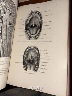 Rare Antique 1930 Warren's Handbook of Anatomy / John Warren Robert Green Aitken