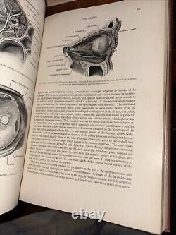 Rare Antique 1930 Warren's Handbook of Anatomy / John Warren Robert Green Aitken