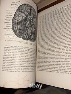 Rare Antique 1930 Warren's Handbook of Anatomy / John Warren Robert Green Aitken