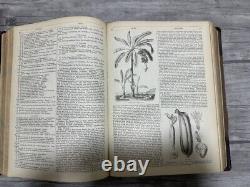 Rare Antique Book The English Cyclopaedia Natural History Volumes III & IV 1856