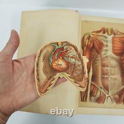 Rare Antique Medical Book The Modern Family Physician & Hygenic Guide 1889