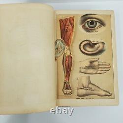 Rare Antique Medical Book The Modern Family Physician & Hygenic Guide 1889