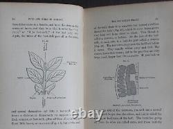 Rare Antique Old Book Biology 1875 Illustrated Plants Sea Life Cells Butterfly