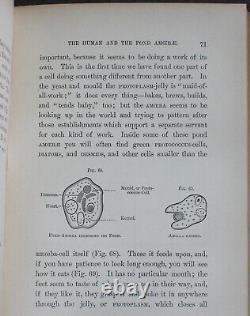 Rare Antique Old Book Biology 1875 Illustrated Plants Sea Life Cells Butterfly