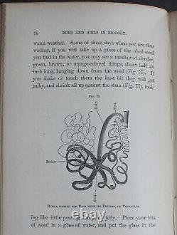 Rare Antique Old Book Biology 1875 Illustrated Plants Sea Life Cells Butterfly