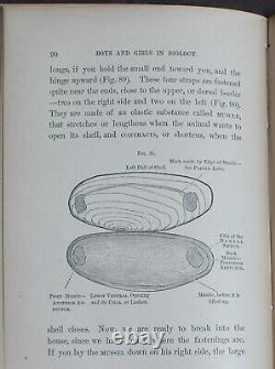 Rare Antique Old Book Biology 1875 Illustrated Plants Sea Life Cells Butterfly