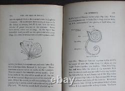 Rare Antique Old Book Biology 1875 Illustrated Plants Sea Life Cells Butterfly