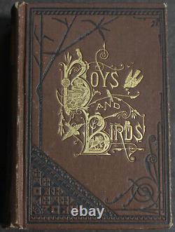 Rare Antique Old Book Boys & Birds 1880 Illustrated Naturalist Animal Nature