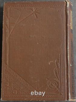 Rare Antique Old Book Boys & Birds 1880 Illustrated Naturalist Animal Nature