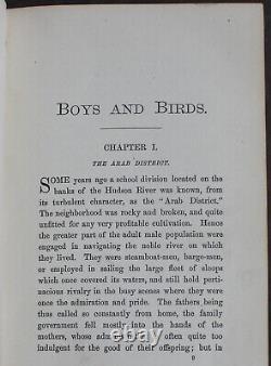 Rare Antique Old Book Boys & Birds 1880 Illustrated Naturalist Animal Nature