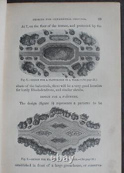 Rare Antique Old Book Florist Plants 1869 1st Illustrated Garden Nature Scarce