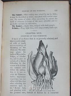 Rare Antique Old Book Florist Plants 1869 1st Illustrated Garden Nature Scarce