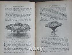 Rare Antique Old Book Florist Plants 1869 1st Illustrated Garden Nature Scarce