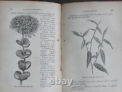 Rare Antique Old Book Florist Plants 1869 1st Illustrated Garden Nature Scarce