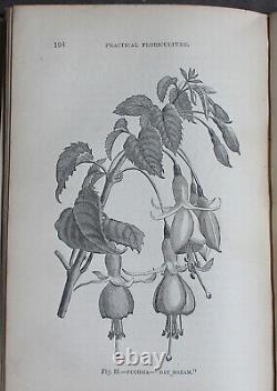 Rare Antique Old Book Florist Plants 1869 1st Illustrated Garden Nature Scarce