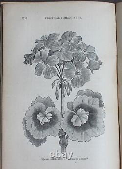 Rare Antique Old Book Florist Plants 1869 1st Illustrated Garden Nature Scarce